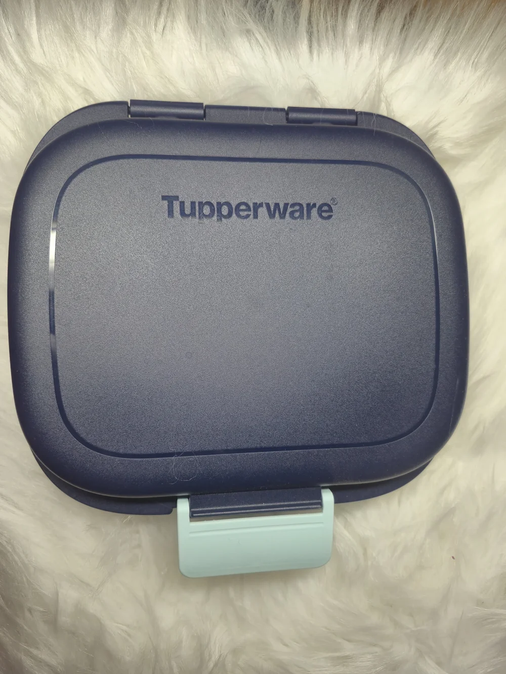 Tupperware Navy Blue Lunch Box with Mint Green Latch